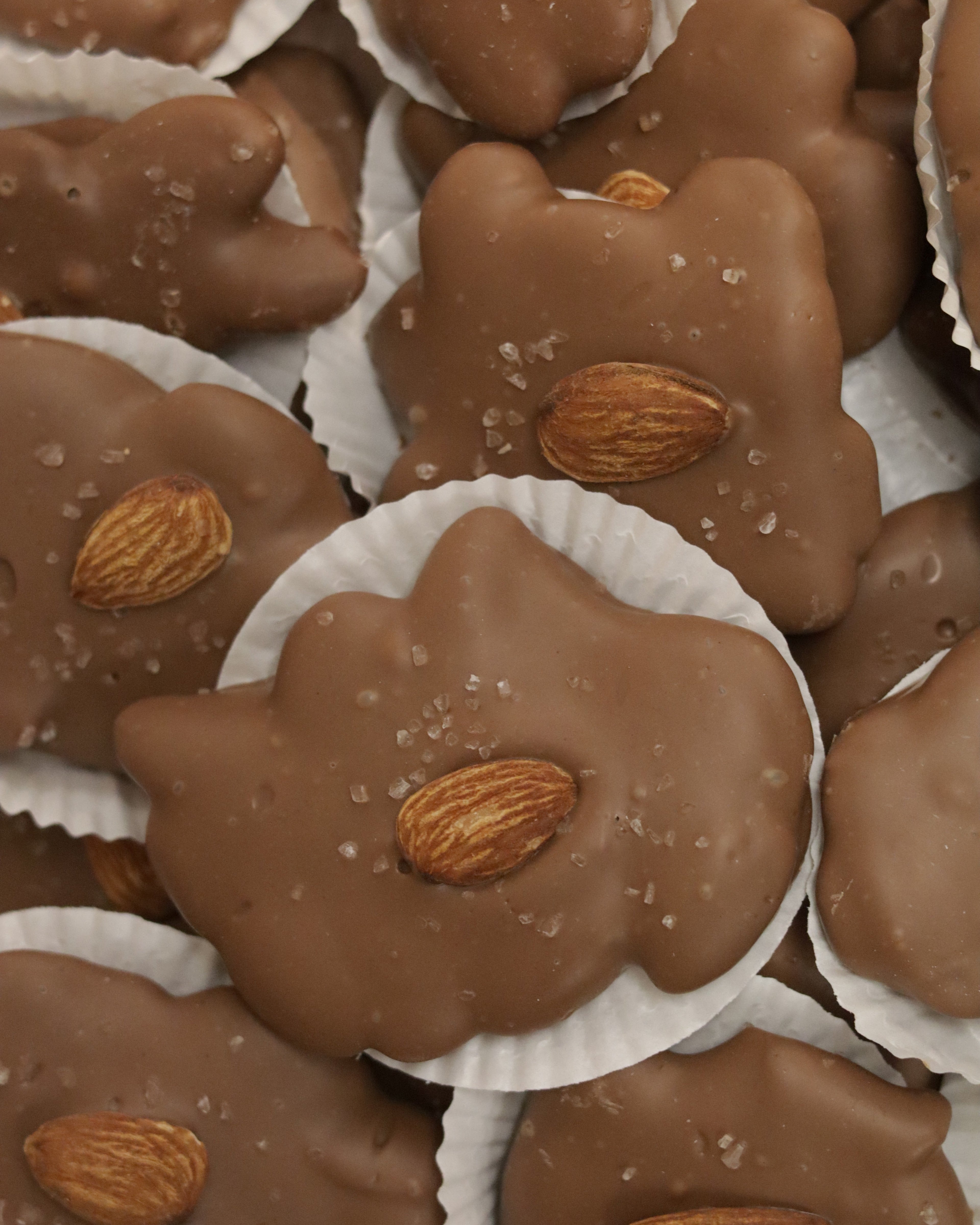 Chocolate Turtles