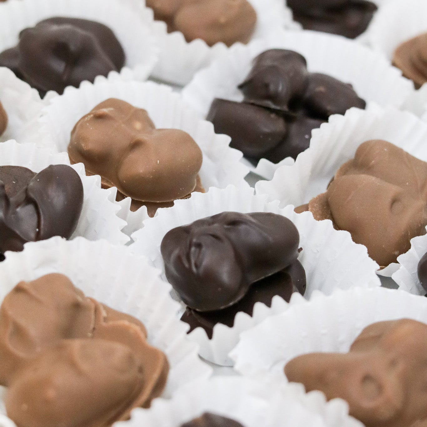 Nut Clusters