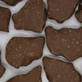Chocolate Covered Sea Salt Peanut Brittle