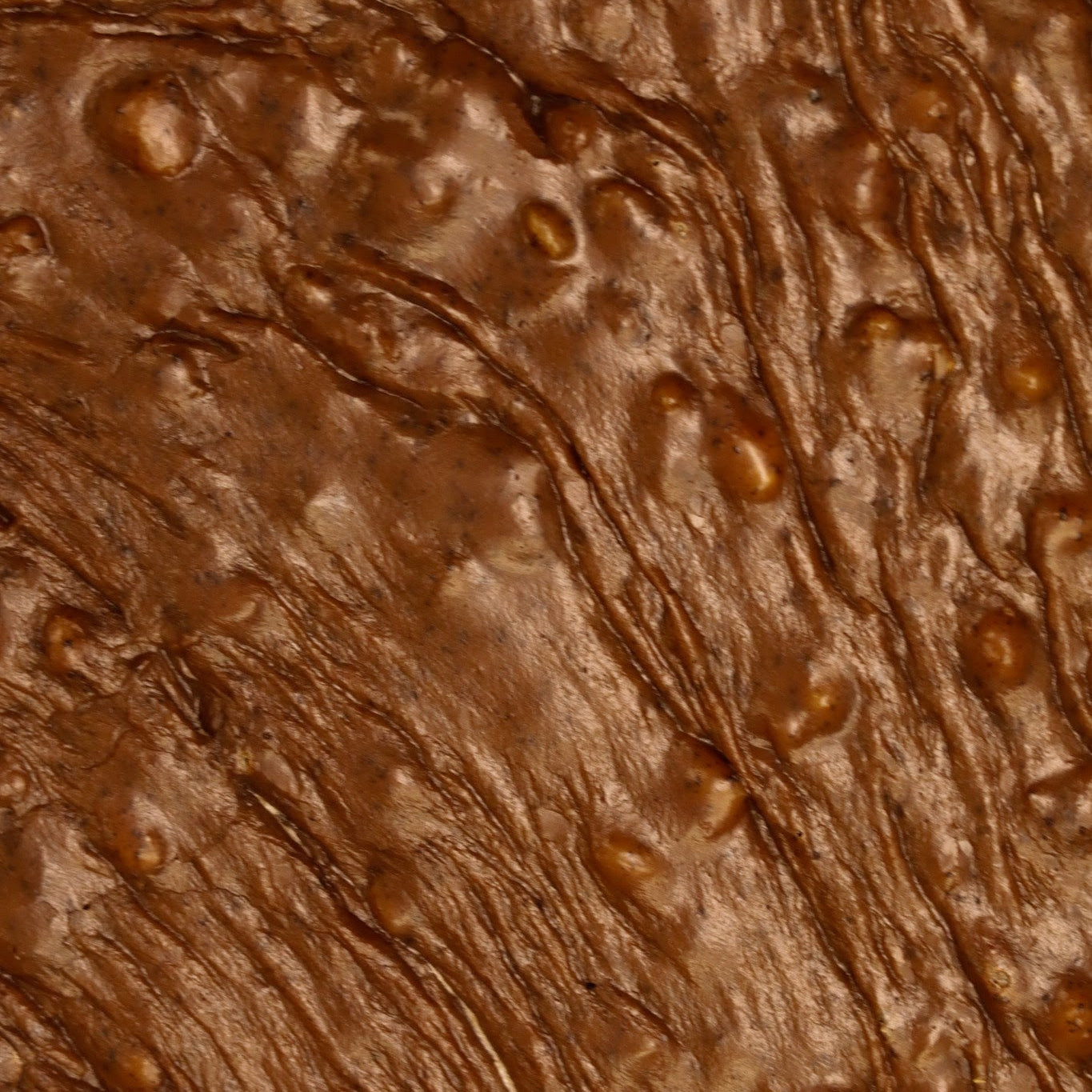 Chocolate Walnut